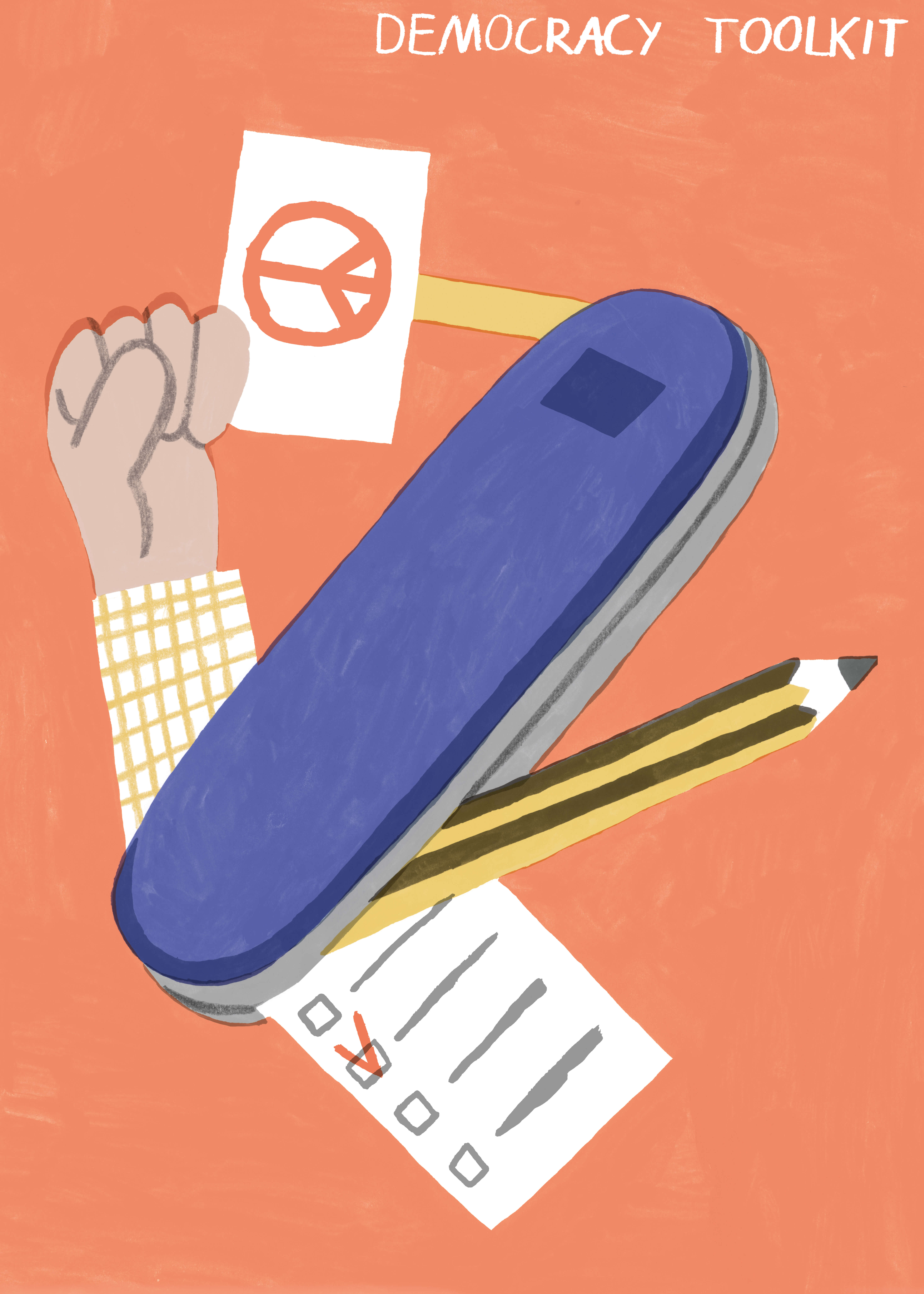 Democracy Toolkit main image