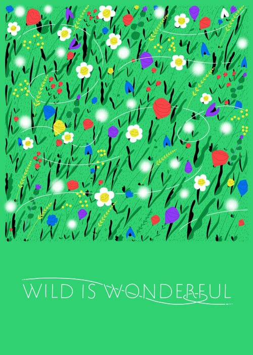 Wild Is Wonderful